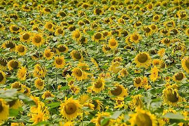 《浩劫前夕》官方诚恳致玩家信息 12月8日发售在即